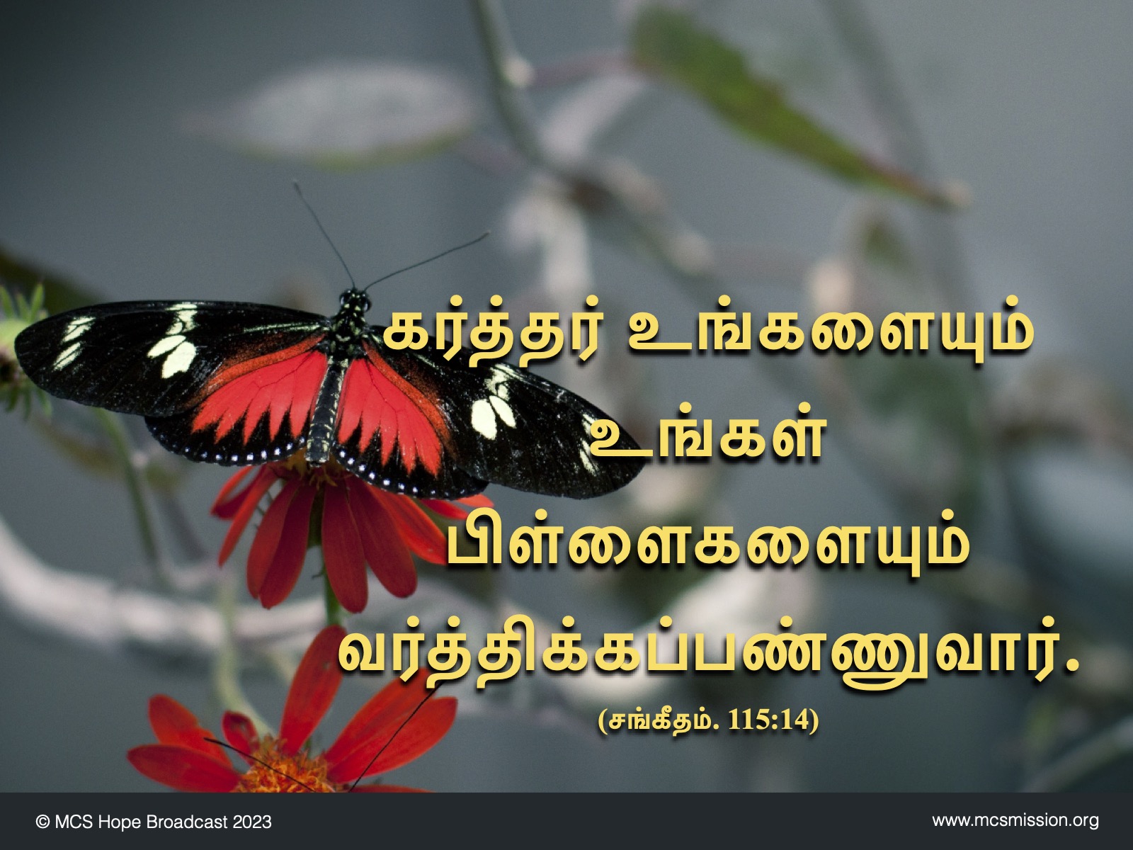 Tamil Bible 3