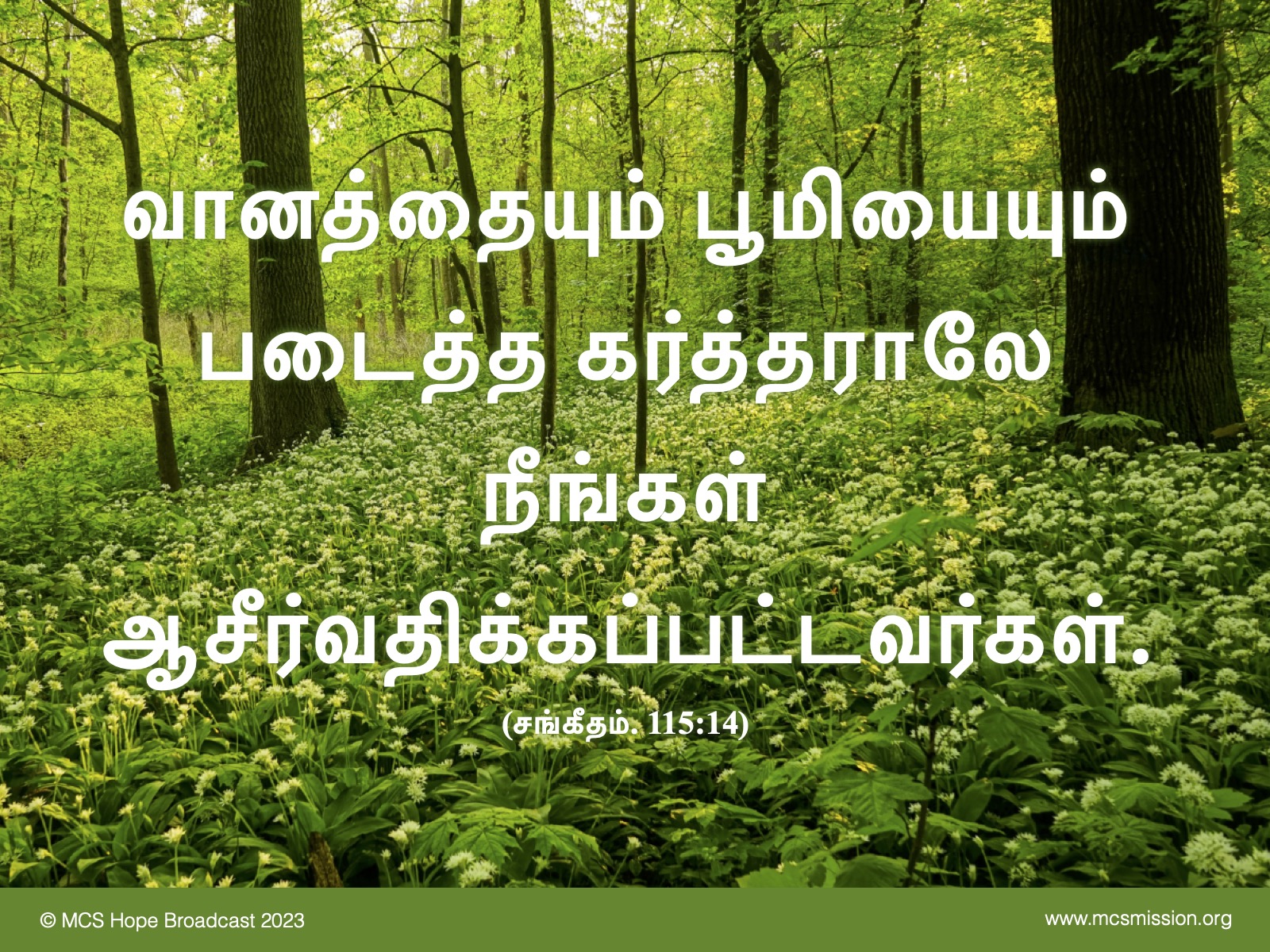 Tamil Bible 1