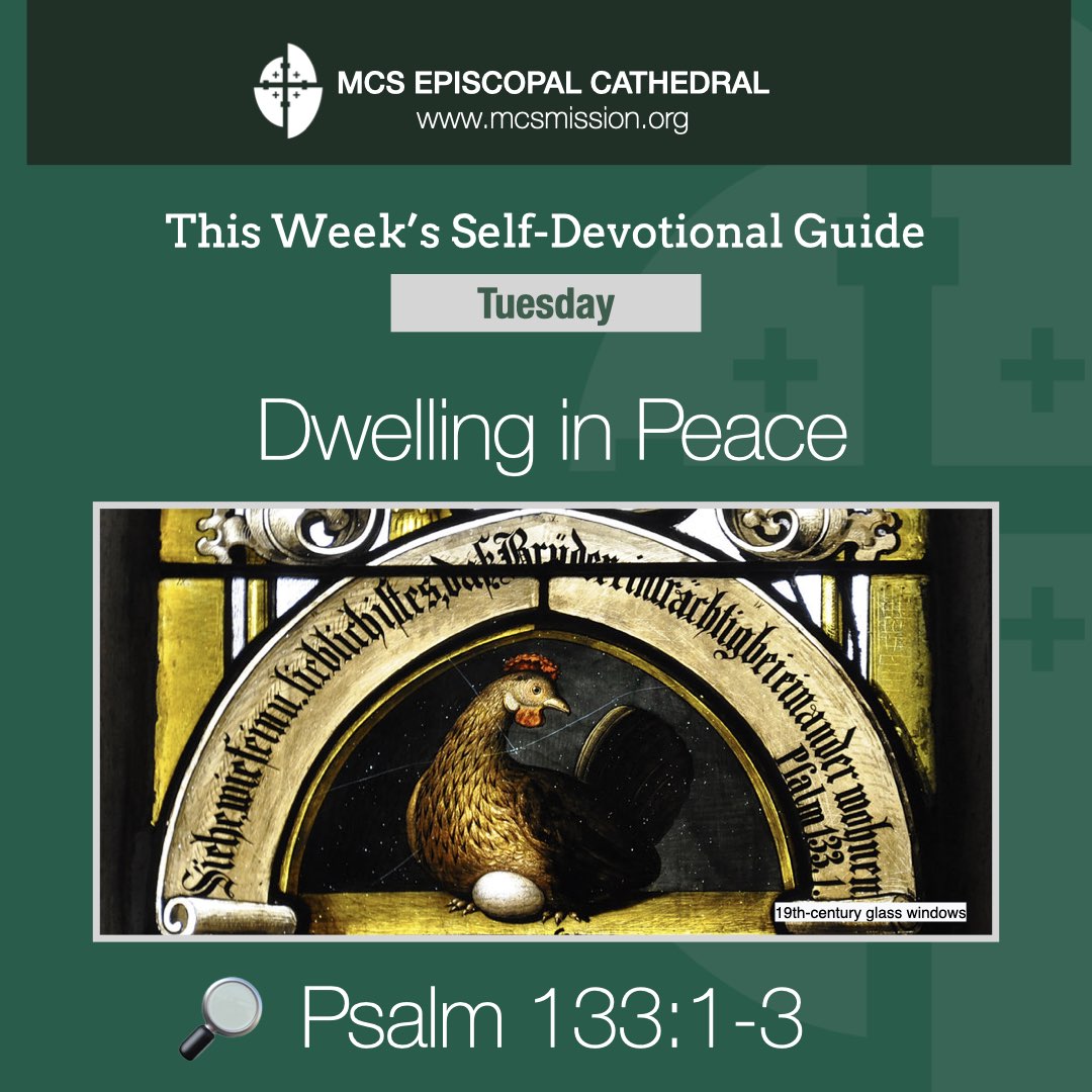 Tuesday 27 June | MCS Devotional Guide